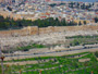 Долина Кедрон, Иерусалим, Израиль